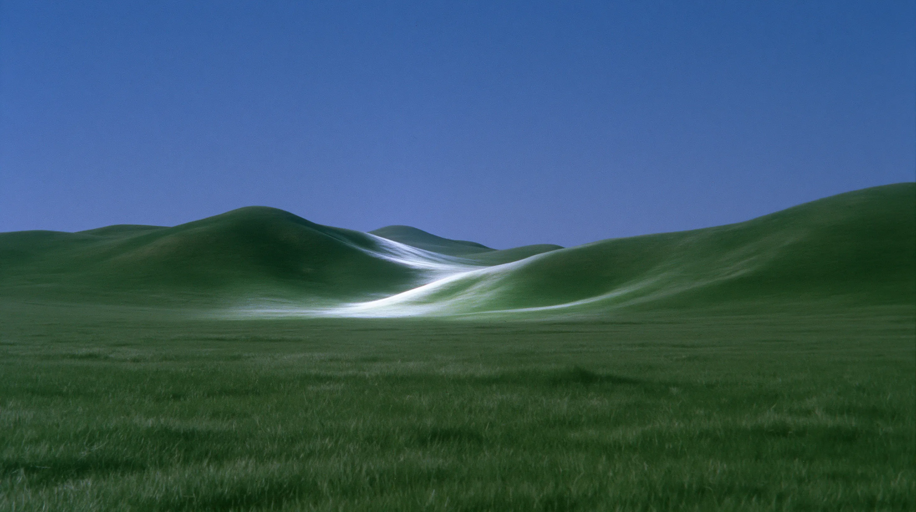 A surreal creative systems garden connecting digital tools and organic forms